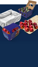 Fruit & Produce