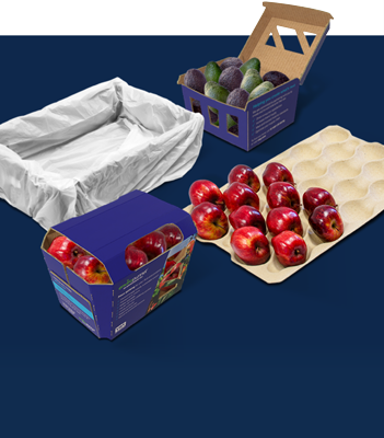 Fruit & Produce